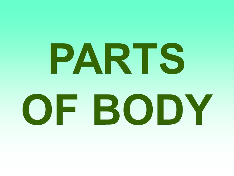 PARTS   OF BODY